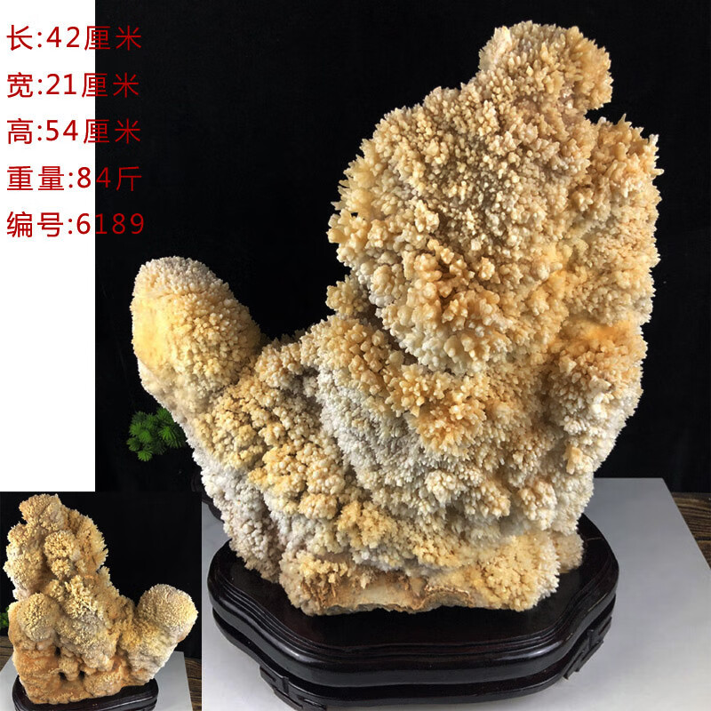 206f77748445c49e.jpg