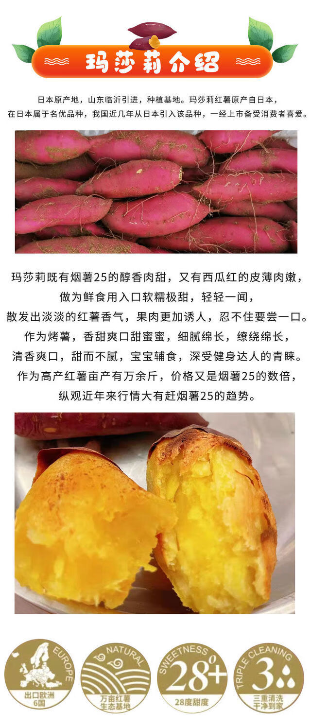 现货速发玛莎莉红薯新鲜饱满软糯香甜现挖现发10斤装玛莎莉红薯净重5