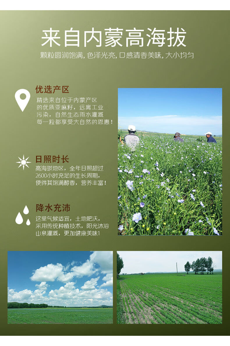 熟黄金亚麻籽内蒙古特产炒熟亚麻籽仁胡麻籽可选磨粉新货瓶装1斤熟