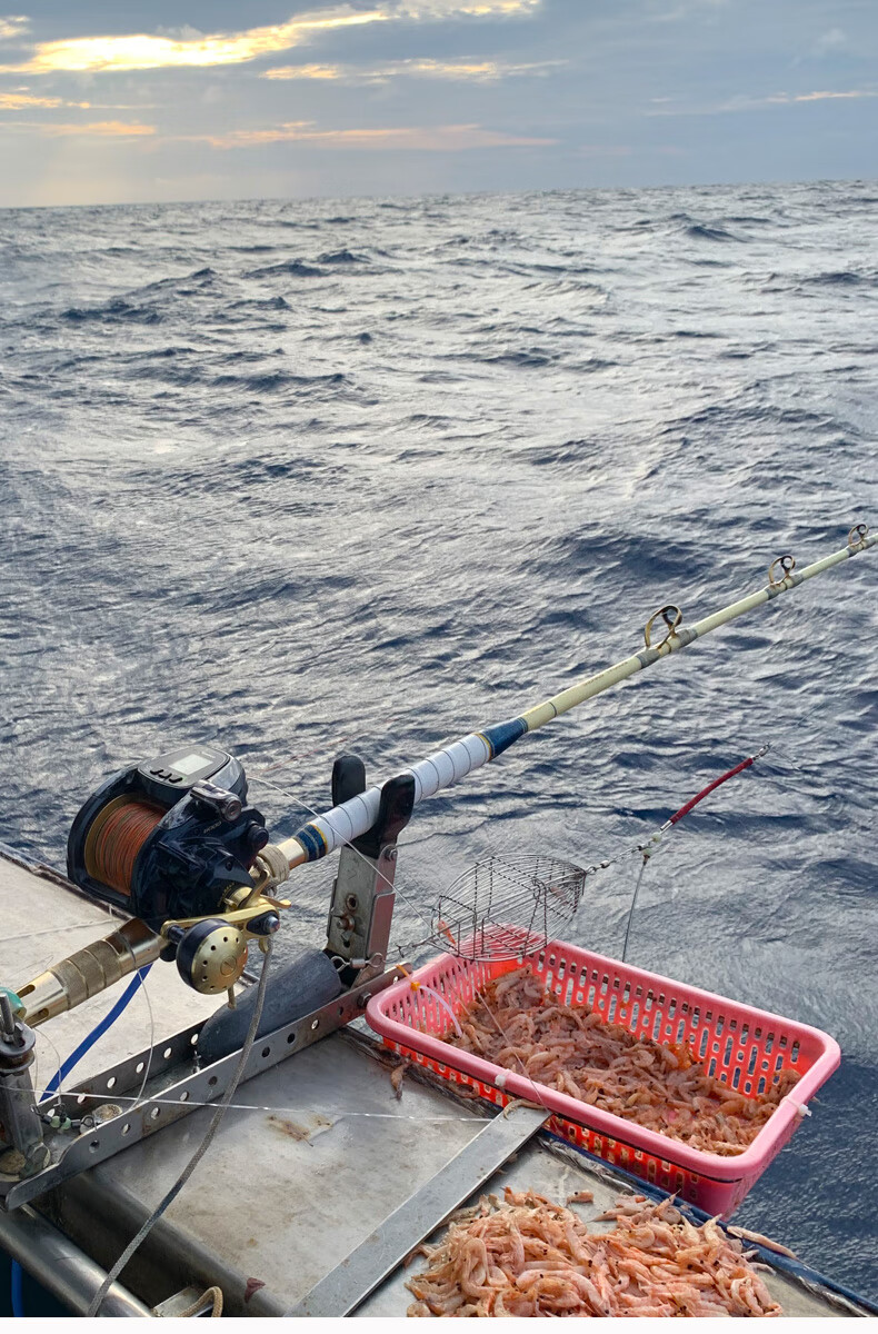 海釣配件天平釣組串鉤釣魚不鏽鋼沉底船釣深海打窩器打窩器定點野釣