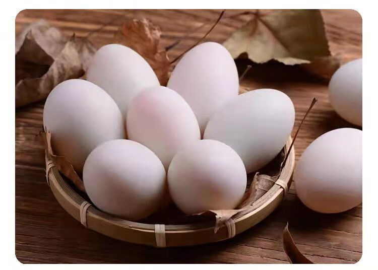 正宗生海鸭蛋新鲜鸭蛋农家散养广西北海海边生鸭蛋新鲜禧客鲜30枚海