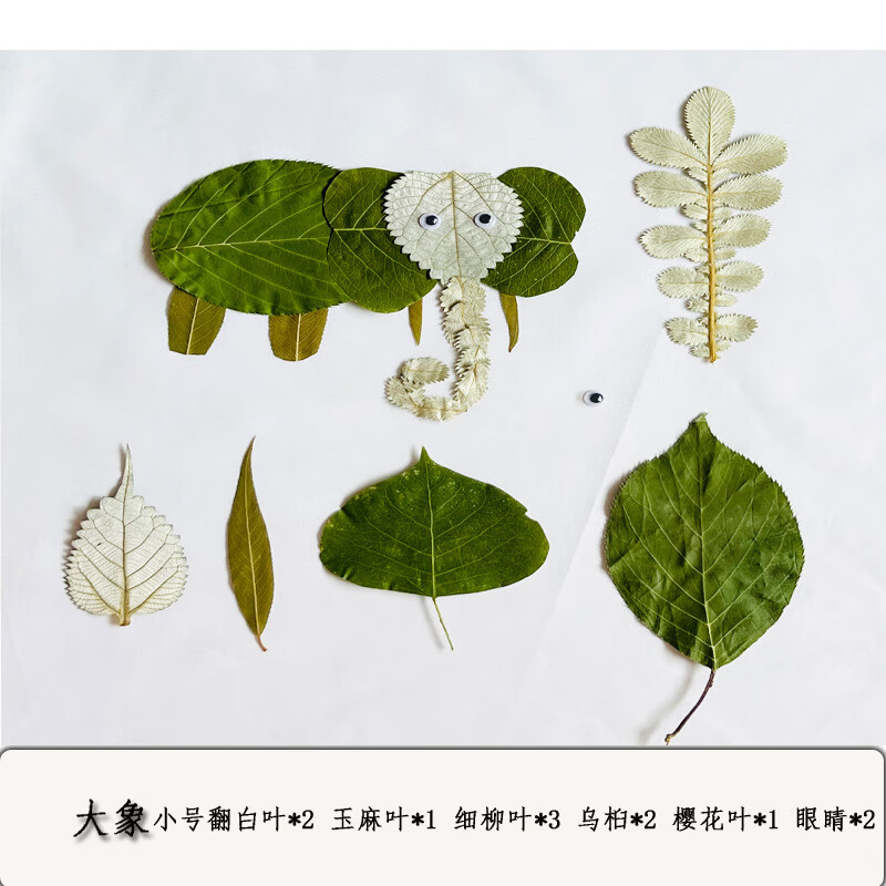 标本真树叶干花手工贴画成品小学生幼儿园diy材料包动物植物标本 大象