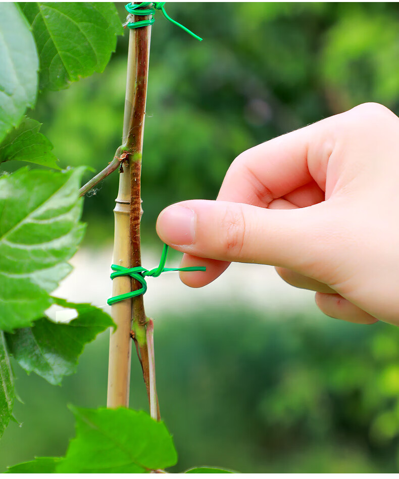 园艺捆扎线扎带包塑扎线铁丝扎月季爬藤植物固定绳带绑花神器支架 50