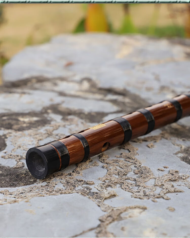 苦竹笛子大降bcdefg小a升c调竹横笛吹管乐器高音易吹