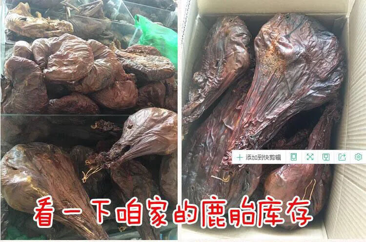 鹿胎吉林长白山梅花鹿整只干鹿胎鹿胎膏原料鹿胎粉滋补女性调理装胶囊