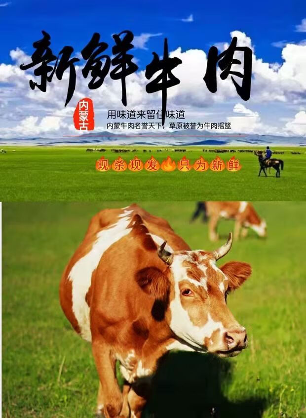 牛肉店广告图片大全集图片