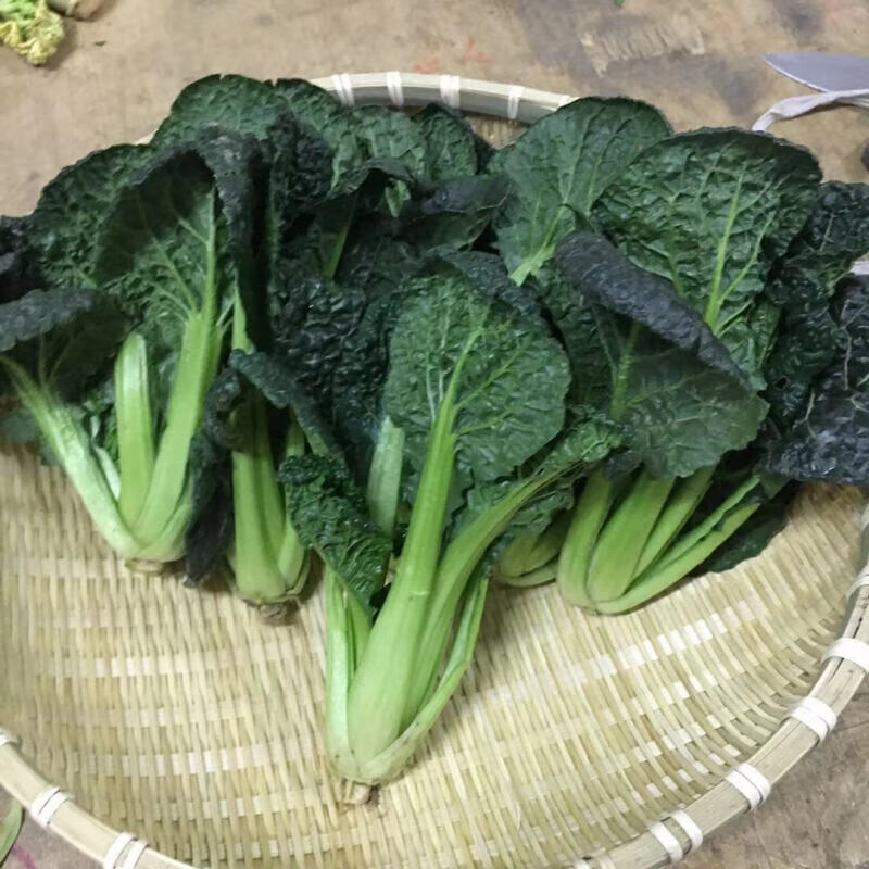 乌塌菜现发常熟小八叶塌菜青菜黄心菜千叶菜黑油白菜火锅好配菜新鲜