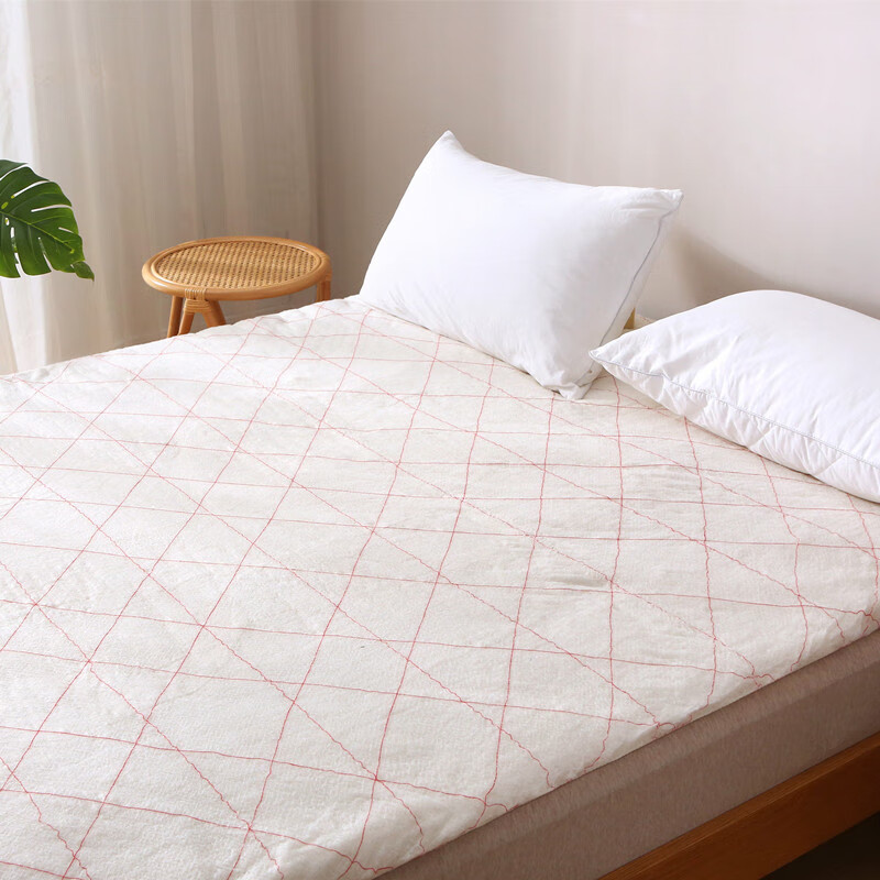 棉絮垫被棉花褥子学生宿舍床垫软垫单人家用床褥垫炕垫絮被褥铺底 3斤