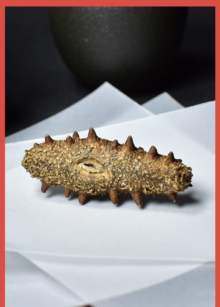 大连海参礼盒装海参冻干礼品礼领导长辈实用海鲜干海参20只装