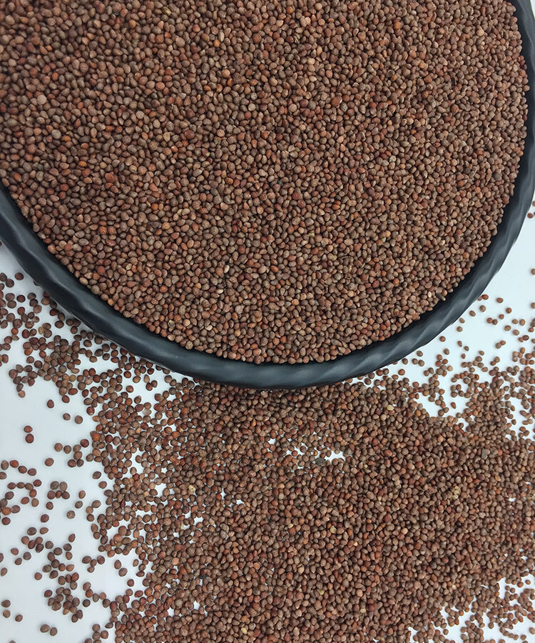 新货 东北紫苏子籽500g 黑龙江生紫苏种子榨油苏子 烧烤调料馅料