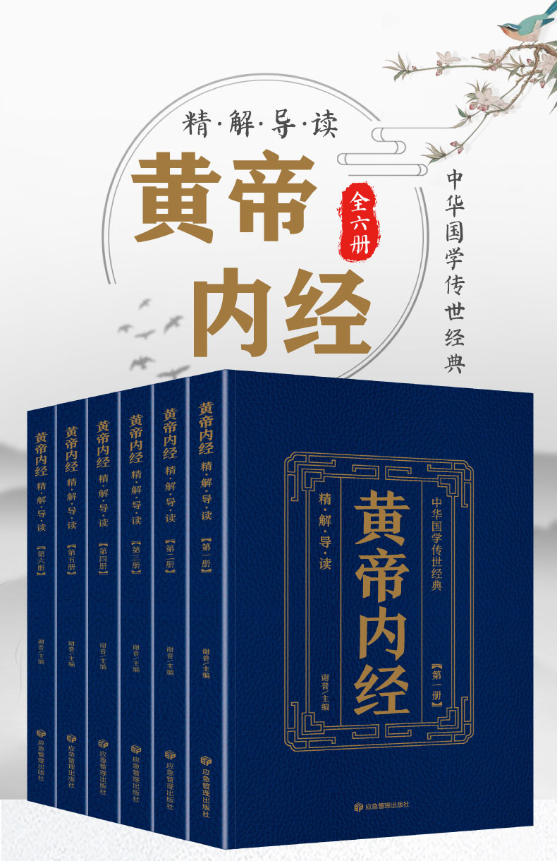 黄帝内经全6册中华国学传世经典原文皇帝内经中国古典中医理论奠基之