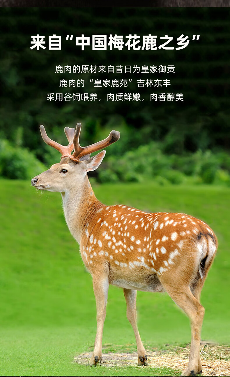 渔人百味立鹿参汤鹿肉干脯200g4袋即食熟食新鲜吉林特产梅花鹿整块