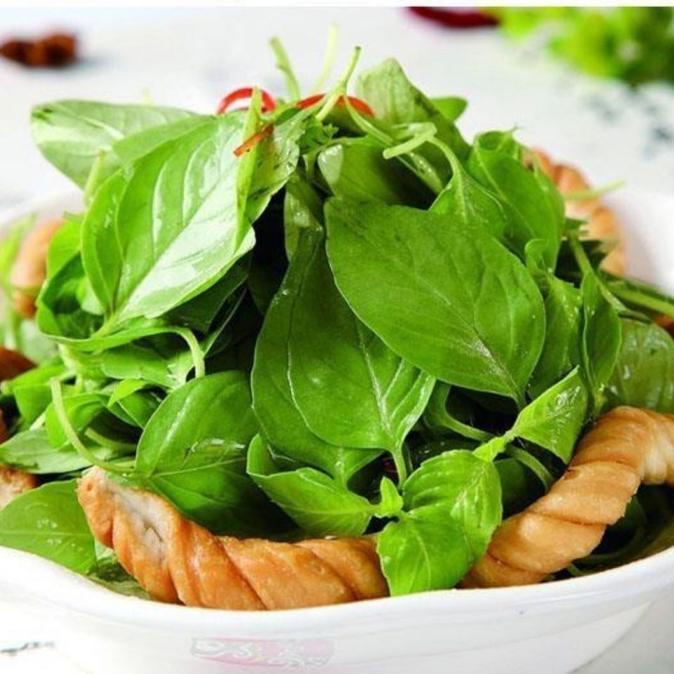 荆芥菜新鲜蔬菜大叶荆芥菜调味菜河南荆芥菜带根荆芥菜荆菜现挖新鲜荆