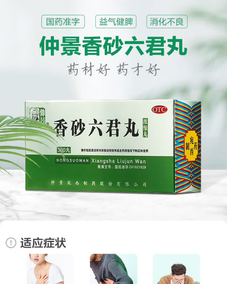 仲景(zj) 仲景香砂六君丸300丸 浓缩丸c 1盒装
