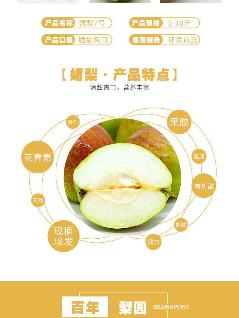 正宗阳信7号媚梨富硒梨新梨香梨新鲜现摘孕妇水果35斤5斤中果