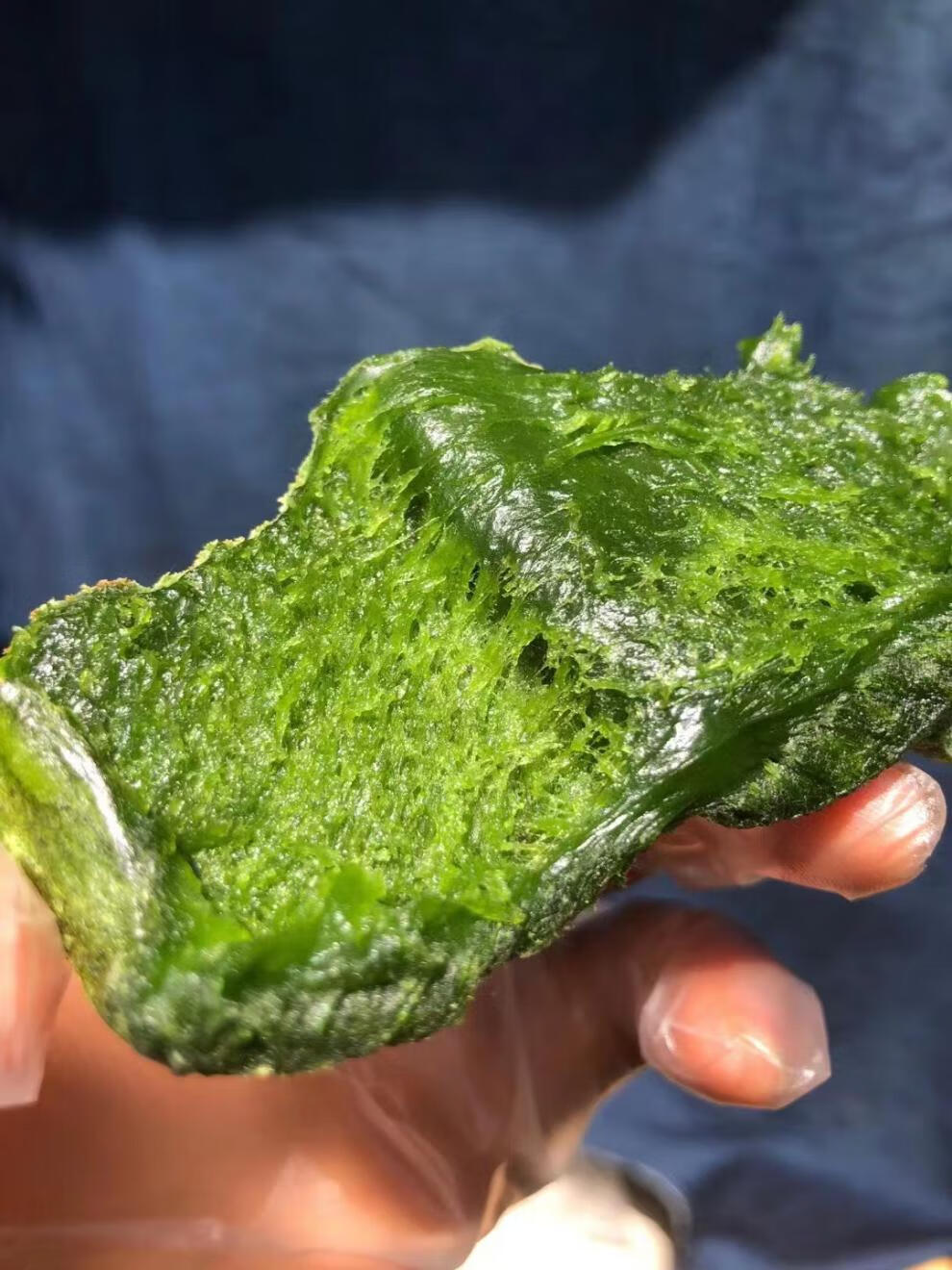 糯米艾草年糕2斤 宁波特产纯手工水磨粗粮农家食材速食炒年糕 (加糖