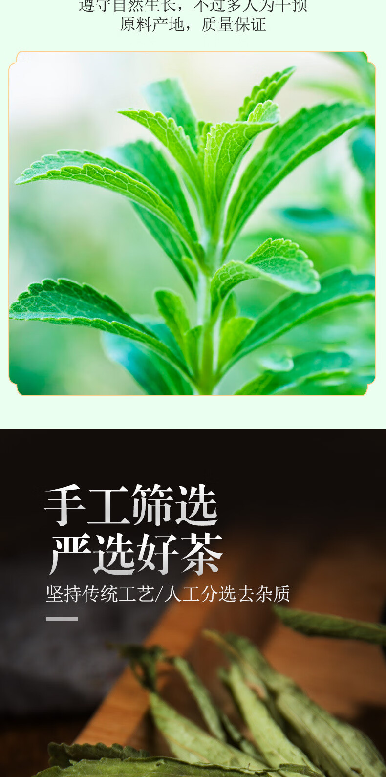 金丝皇菊茉莉花合欢花木蝴蝶玉蝴蝶玳玳花代代花甜叶菊代糖花草茶可配