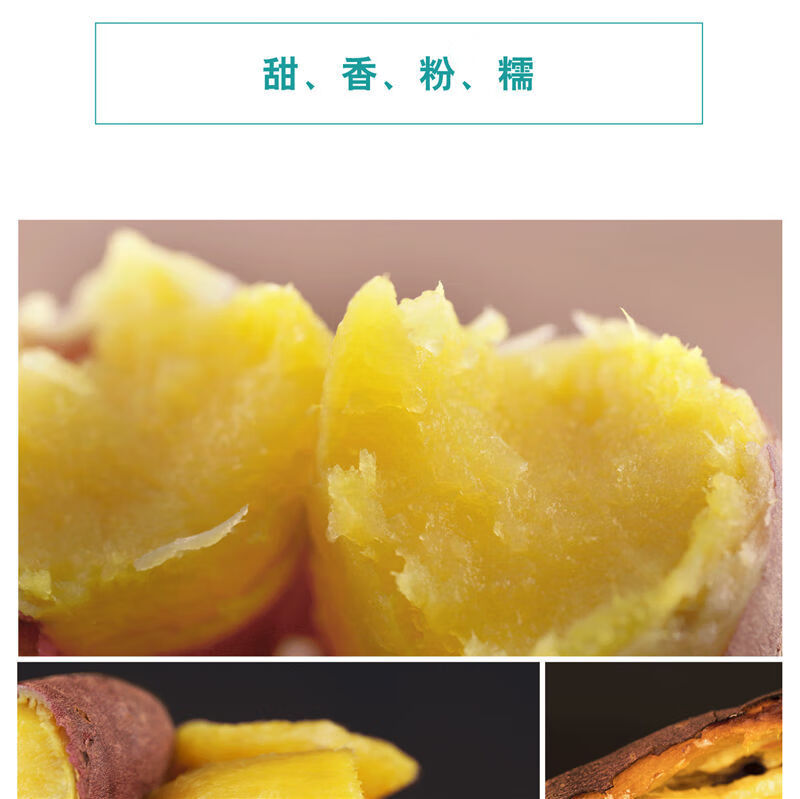 日本黄金薯品种介绍图片