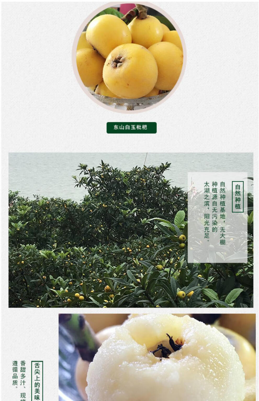 顺丰空运苏州东山白玉枇杷白沙枇杷果新鲜水果5斤礼盒装直销5斤品质大
