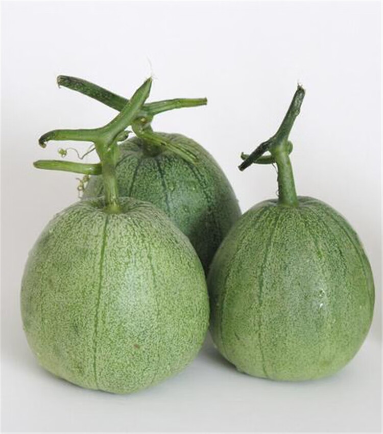 新鲜水果绿宝甜瓜当季5/8斤脆瓜香瓜蜜瓜山东青皮绿宝石 8斤