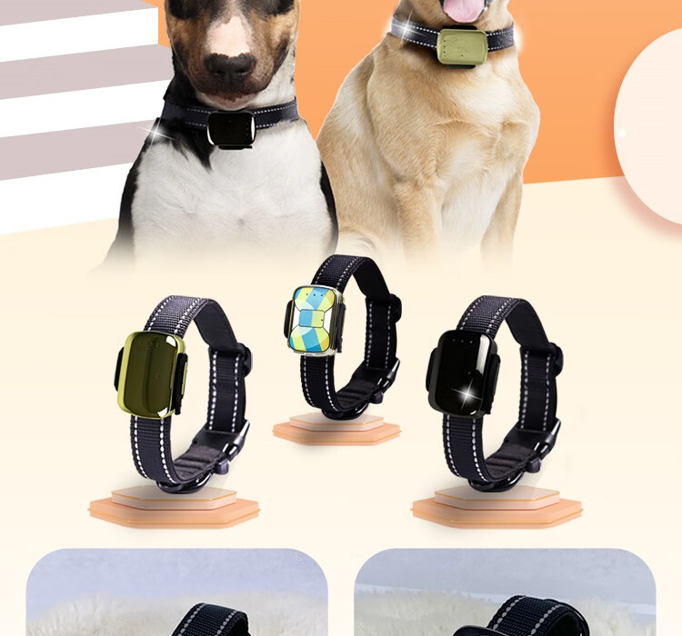 器猫咪防走丢失神器寻找器犬追踪智能项圈宠物gps追跟器金色30斤内