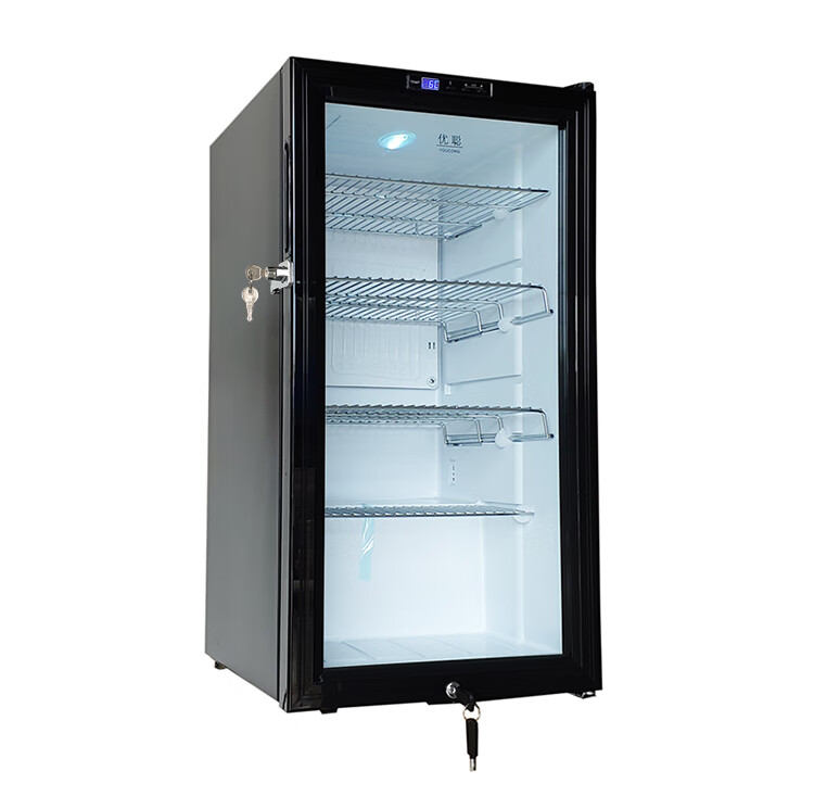 88l压缩机学校幼儿园留样柜食品留样冰箱药品疫苗冷藏箱带锁 jc-88e双