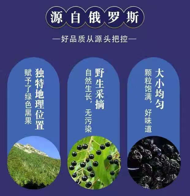 俄羅斯進口 黑果控糖 100g/瓶 多規格 天然控糖 天鵝絨 花椒味 黑果