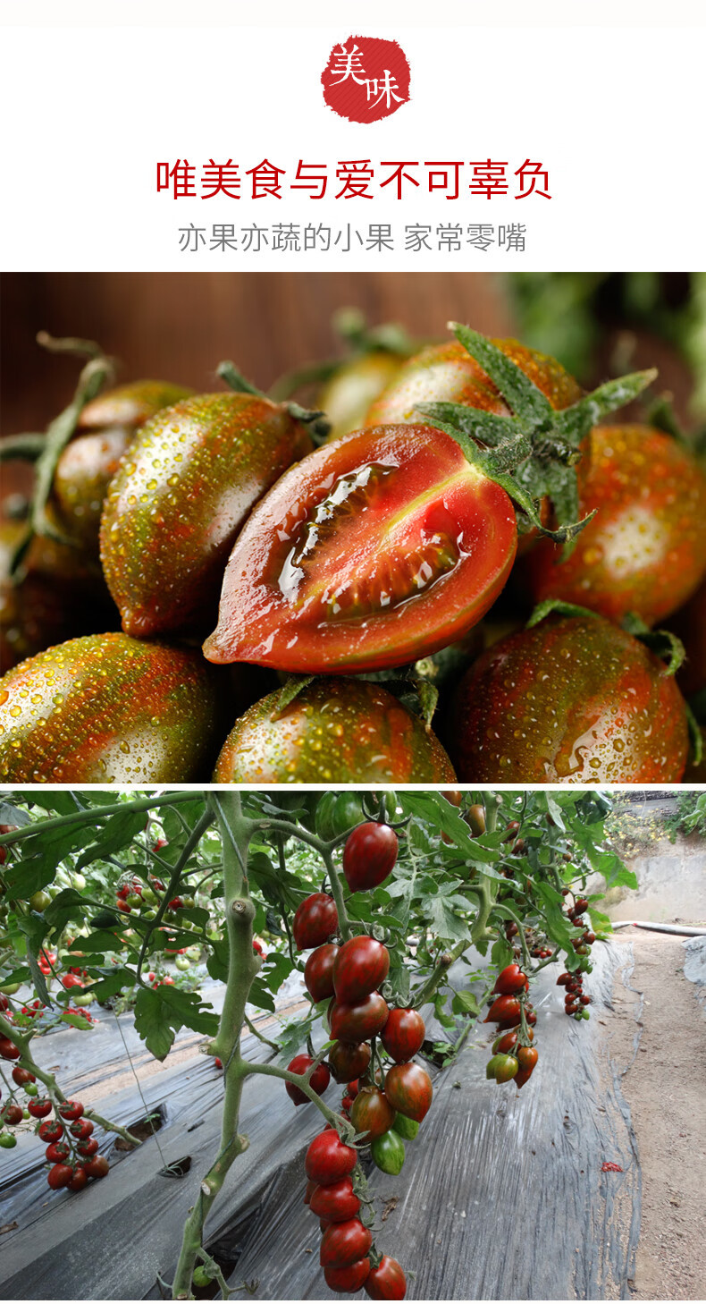 迷彩小番茄圣女果新鲜小西红柿子海南千禧铁皮生吃水果蔬菜5斤3斤