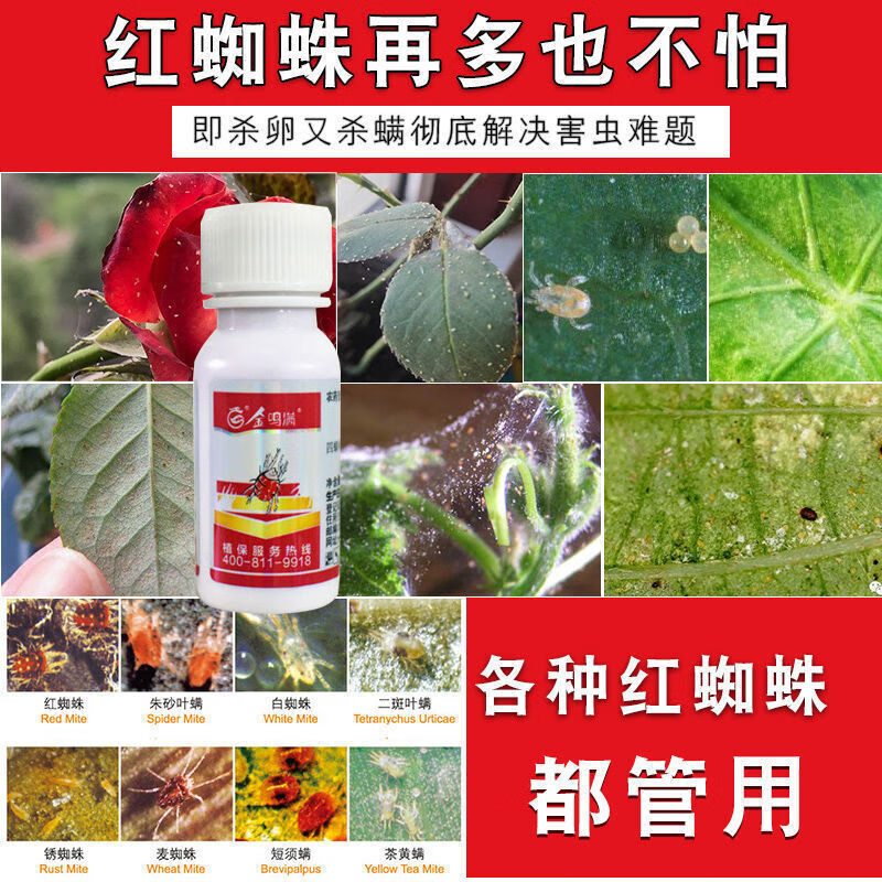 红蜘蛛药月季玫瑰杀虫药杜鹃花卉杀卵杀螨绣球植物杀虫剂通用20毫升2