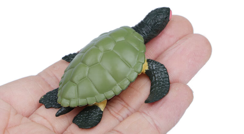 仿真昆虫模型蝴蝶生命周期蚂蚁玩具青蛙蝌蚪蚊子儿童科教海龟 蚂蚁