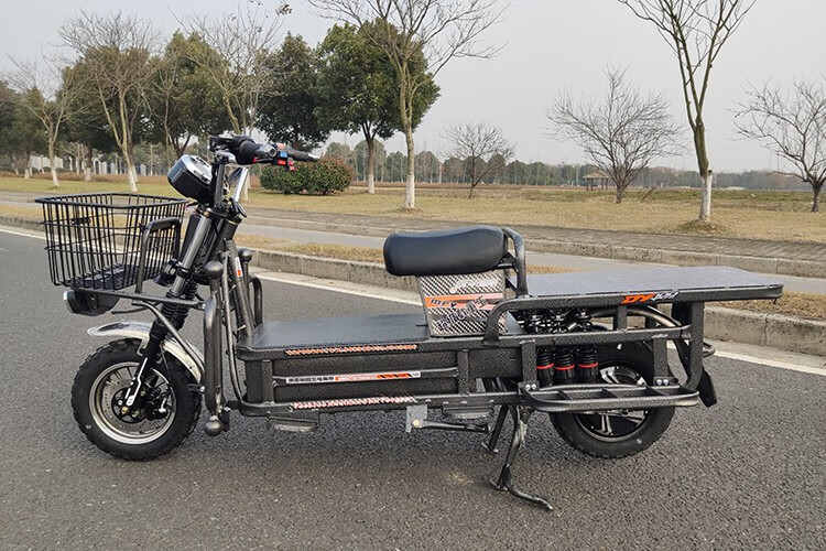 载重王电动电瓶车60v72v路霸电摩大力神外卖快递两轮载货车爬坡王大