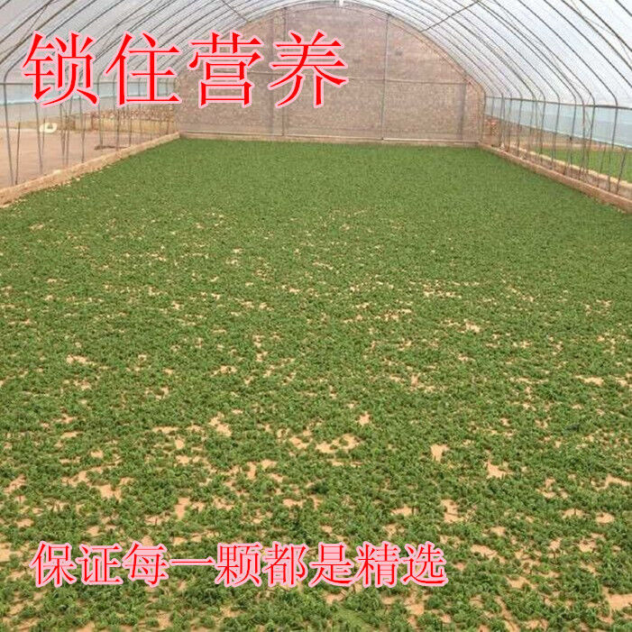 f28bf0bc70156edd.jpg