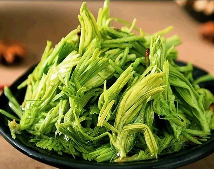 高山沙松尖酒店饭店餐饮特色菜半成品凉菜素菜食材餐厅私房菜 苦刺花1