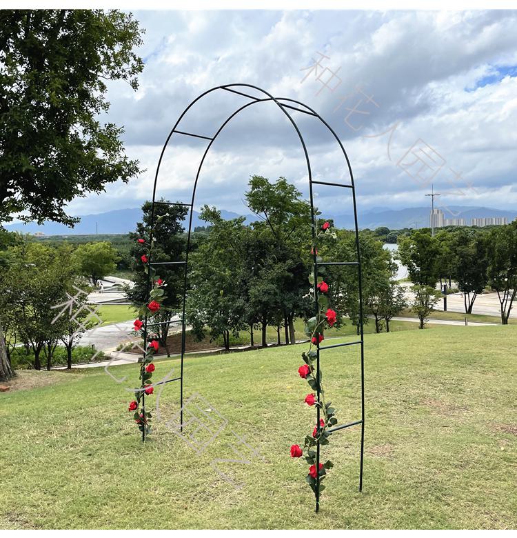 葡萄架室外葡萄架植物攀爬铁线莲蓝雪花月季拱形拱门花架爬藤架支架庭