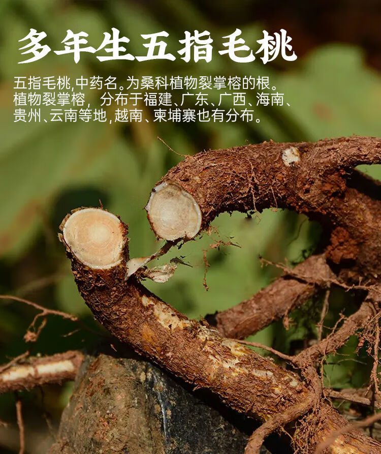 jd御贝康大药房高档品质南京同仁堂五指毛桃罐装中草药材煲汤泡酒料