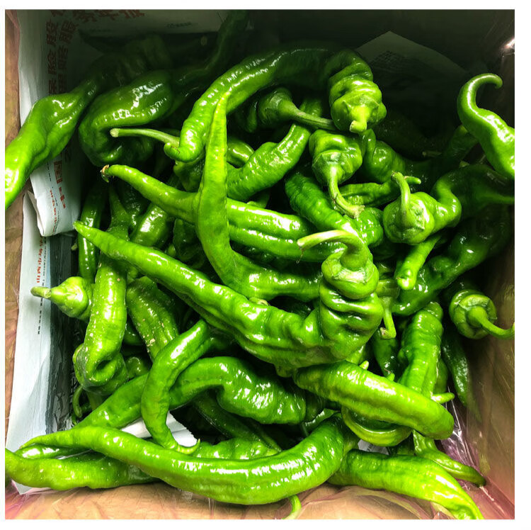 青辣椒薄皮螺丝椒新鲜香辣虎皮椒5斤