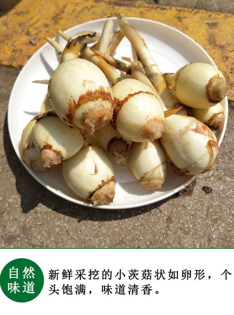 云南野地新鲜迷你小茨菇种山慈姑5斤白茨菰马蹄荸荠蔬菜慈菇疏菜