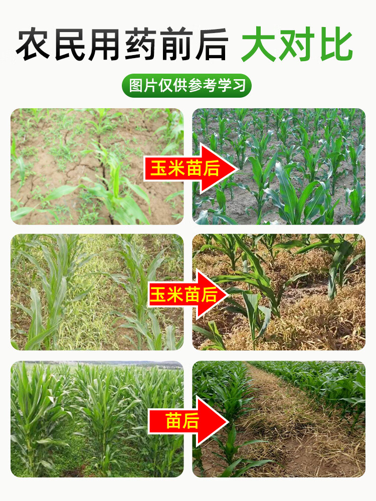 玉米專用除草劑苗後安全型地雜草封閉劑煙嘧磺隆莠去津禾闊雙農藥 120