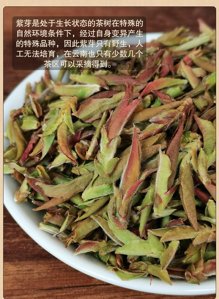 端午节5折2022新茶春茶临沧大雪山紫芽茶100g正宗古树紫芽孢生茶散茶