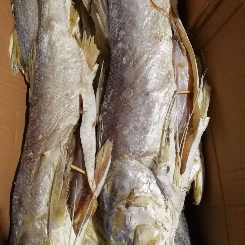 老咸鱼花鲅鱼马友鱼干咸鳎米籽光鱼咸马鲛鱼大咸鱼各种规格咸鱼 咸鳎