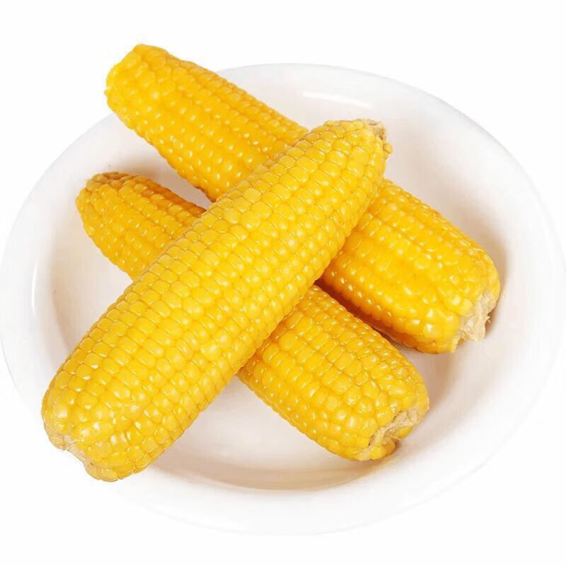 新鲜东北甜糯黄玉米棒黏玉米香甜可口 300g以上精品大棒黄糯 10棒