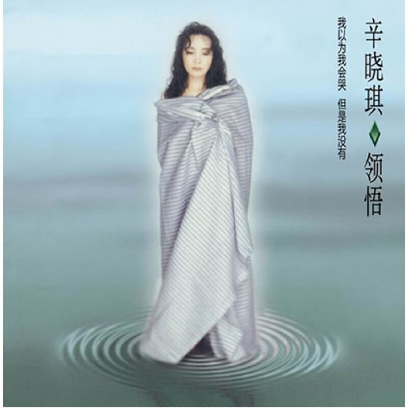 正版唱片辛晓琪领悟滚石再版经典华语流行音乐cd专辑车载碟