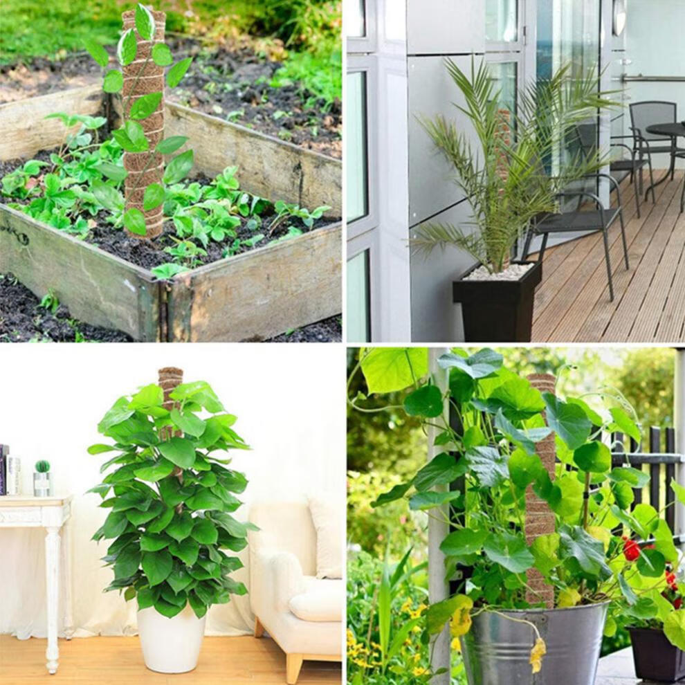 定制绿萝爬架柱爬藤植物支撑绿植盆栽大型支撑杆纯手工隆鼎单支总长