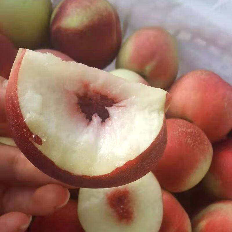 枣蜜桃 新疆珍珠枣油桃新鲜水果蜜桃9斤白心枣味小桃子 5斤装 4500g