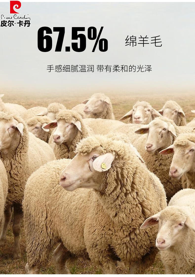 71b1a068fa34c463.jpg