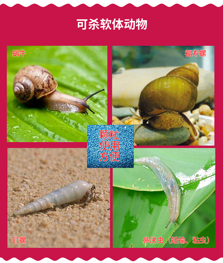 蜗牛药颗粒杀蜗牛药灭杀钉螺除鼻涕虫药螺丝菜地花卉杀虫剂专用药500g