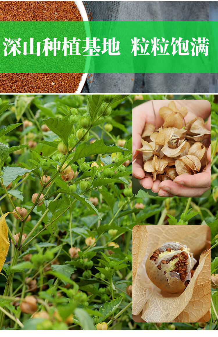 四川野生手搓冰粉籽100g冰籽成都冰粉小吃冰籽凉粉籽木瓜籽爱玉籽冰粉