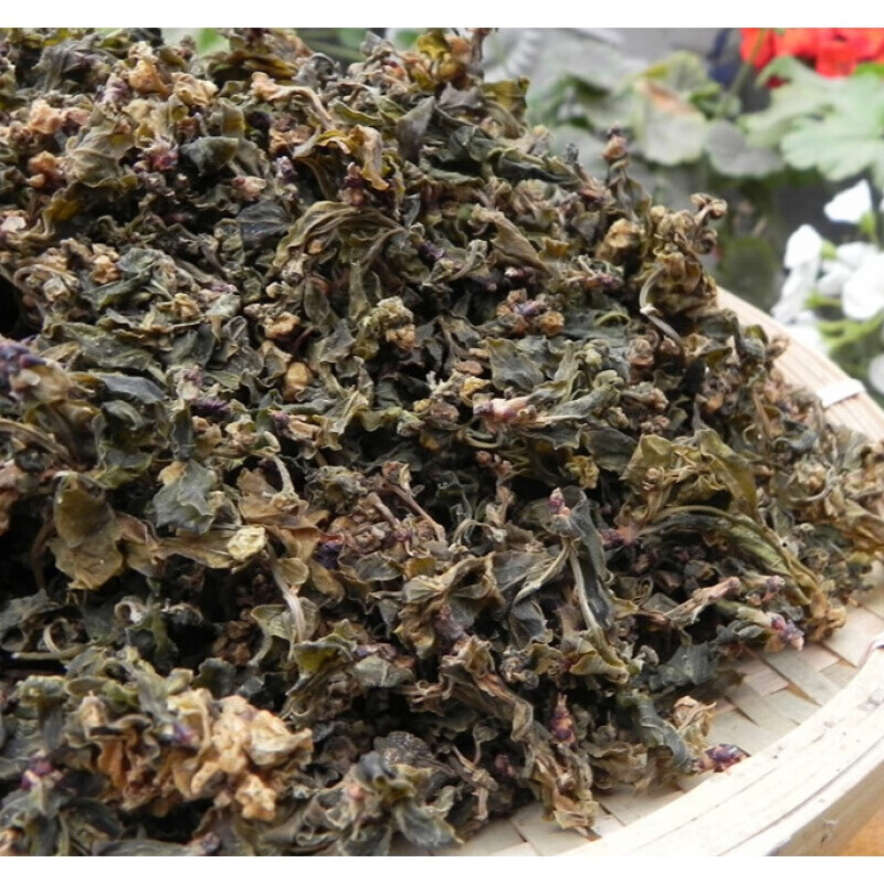 土特产龙白芽菜山野菜龙柏芽农副产品山货 将军菜 花儿菜【图片 价格