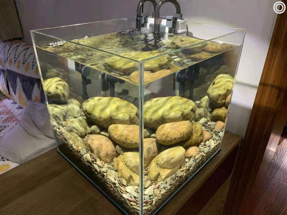 原生缸底砂造景石天然溪流沙底沙河沙原生鱼缸溪流缸沙虾虎鱼沙子 溪