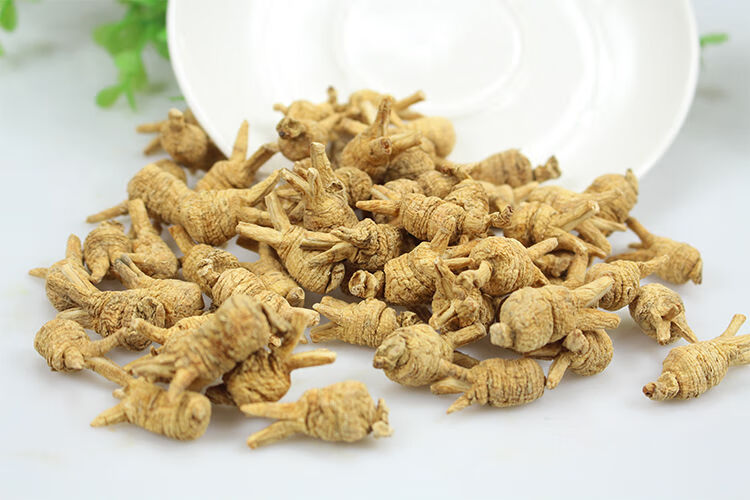 觅阳参雄茬觅阳参觅阳参大颗官方吉林长白山觅阳叁防伪50克整颗